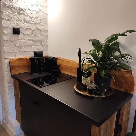 Przytulne 4 Z Parkingiem * Katowice