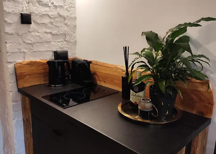 Przytulne 4 Z Parkingiem * Κατοβίτσε